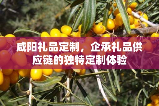 咸阳礼品定制，企承礼品供应链的独特定制体验